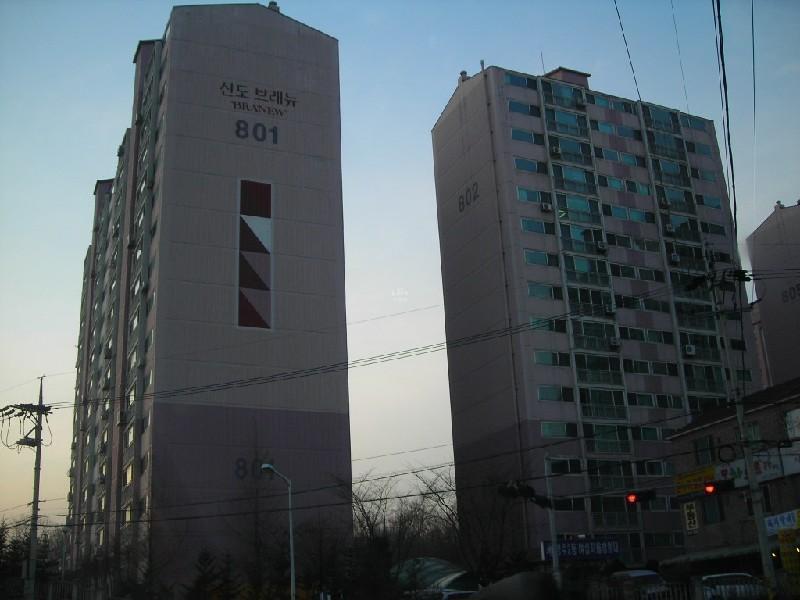 DSCN8915
