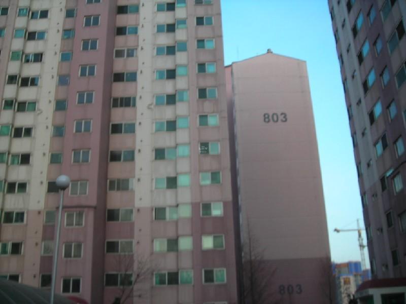 DSCN8894
