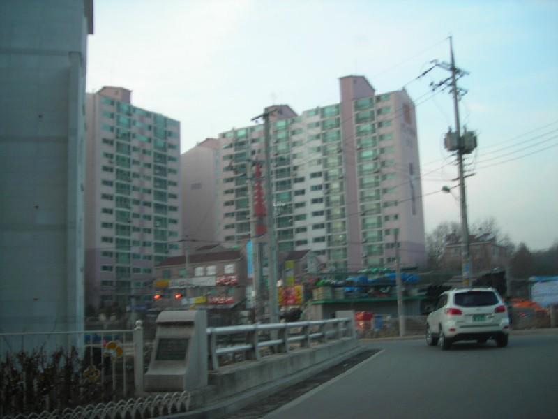 DSCN8908