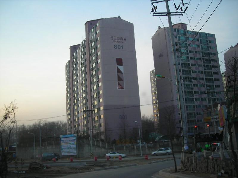DSCN8910