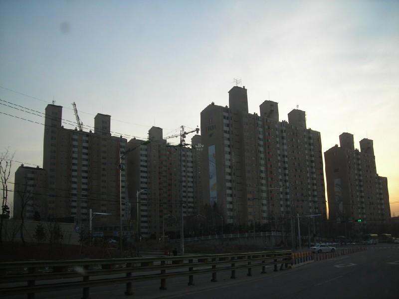 DSCN8878
