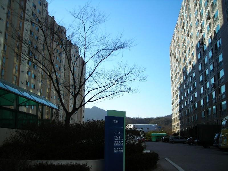DSCN9351