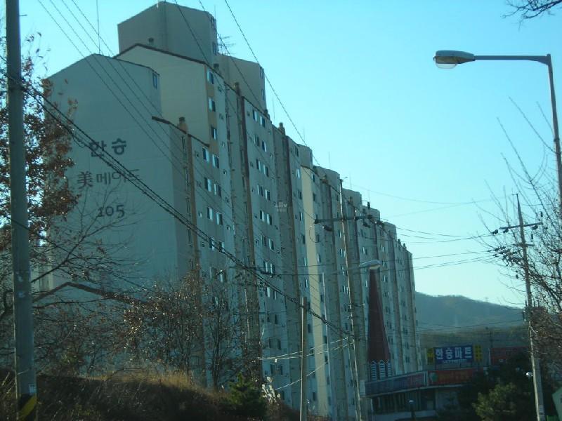 DSCN9317