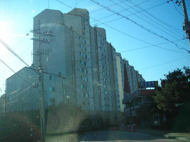 DSCN9319