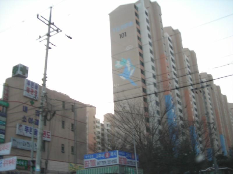 DSCN8860