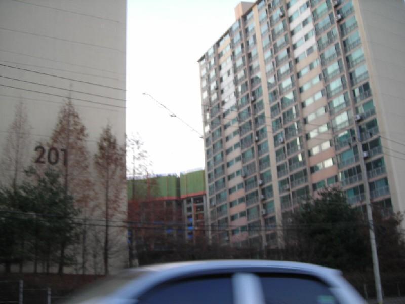 DSCN8874