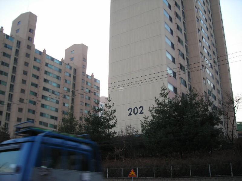 DSCN8877