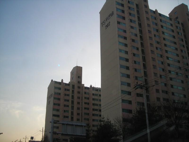 DSCN8857