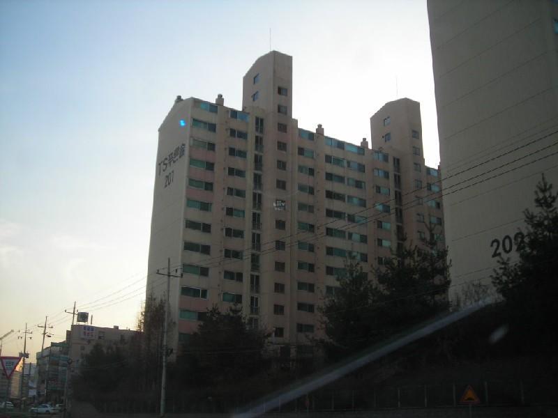DSCN8858