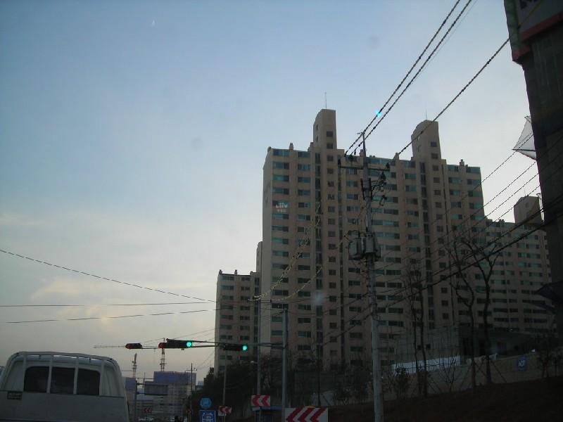 DSCN8883