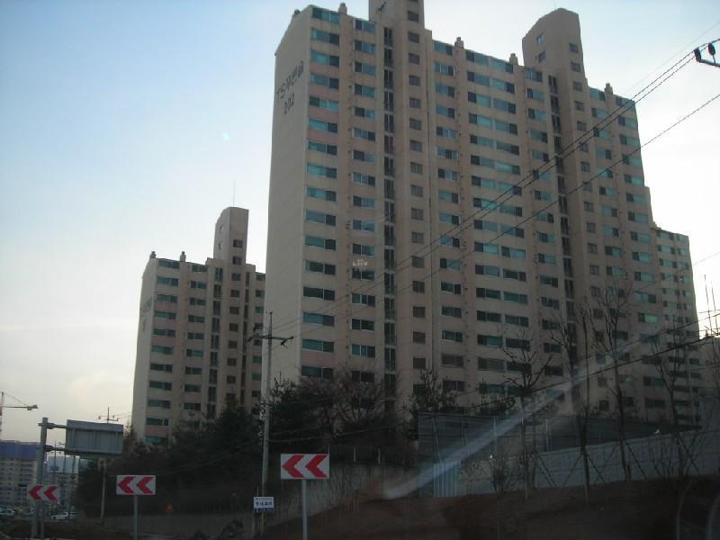 DSCN8885