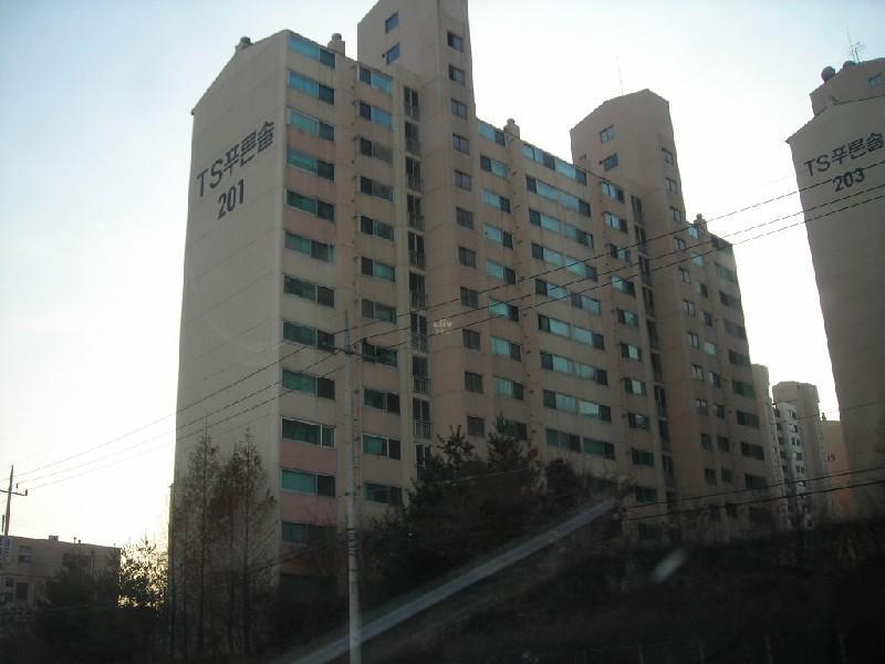 DSCN8859