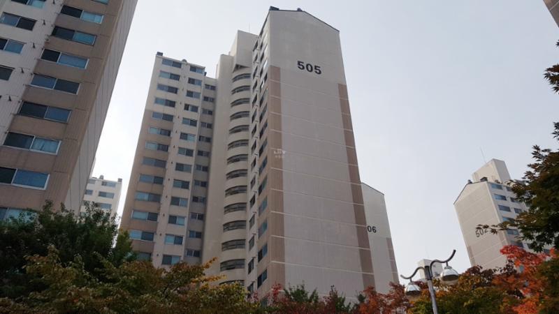 505동 단지 전경 모습이에요