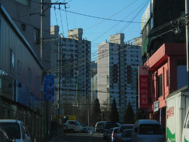 DSCN9509