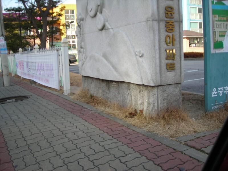 DSCN8338