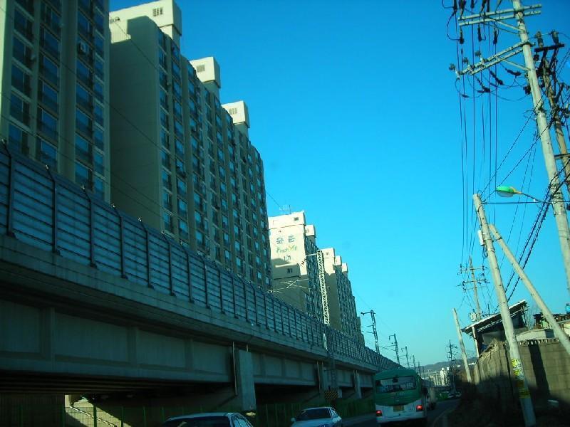 DSCN9554