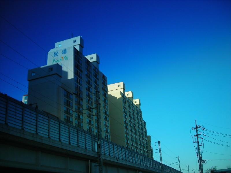 DSCN9556