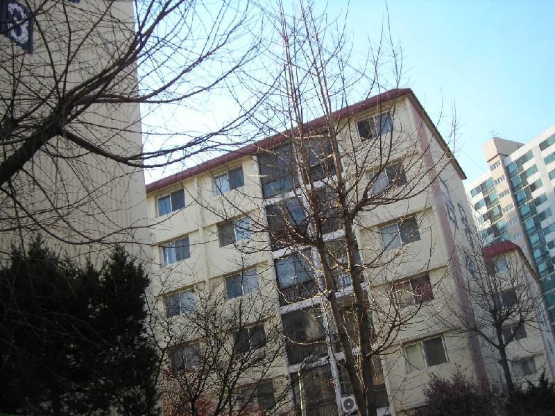 DSCN8569