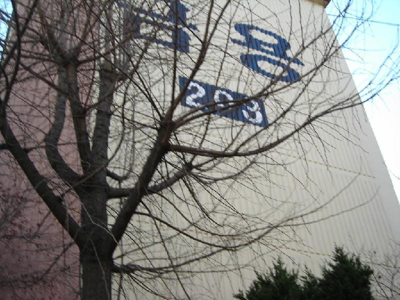 DSCN8570