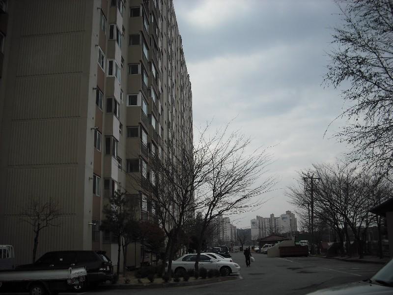 DSCF1191