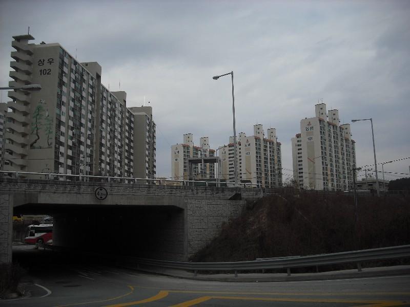 DSCF1176