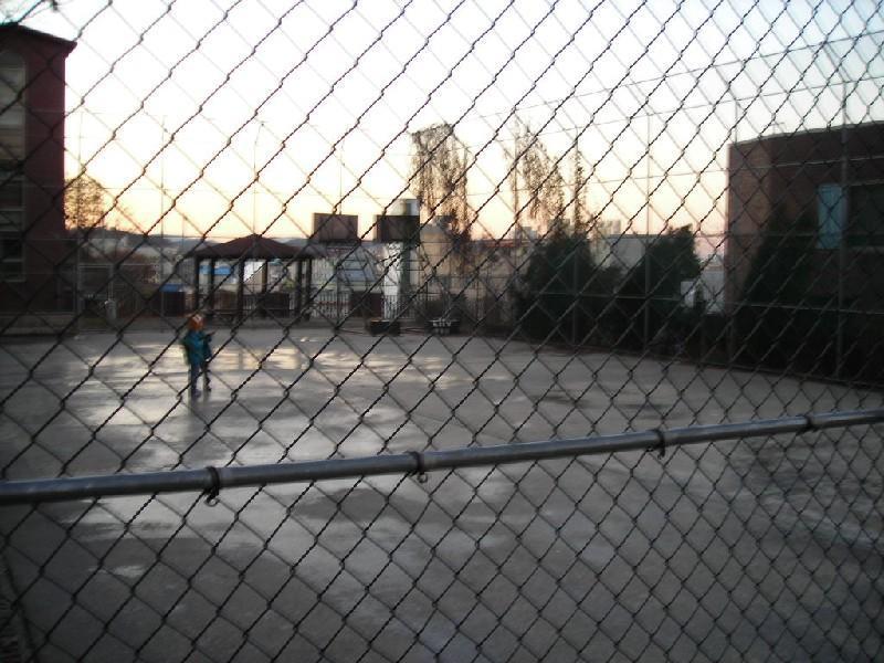 DSCN6753