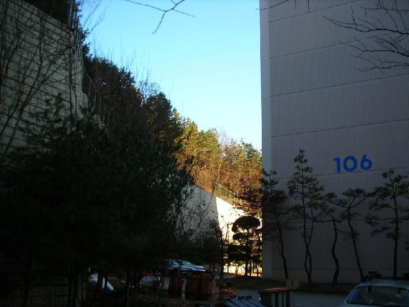 DSCN6699