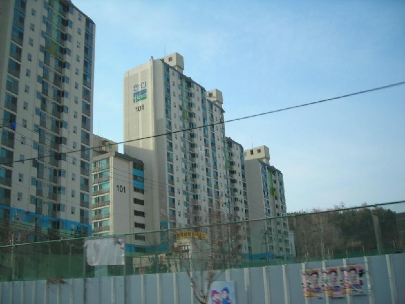 DSCN8394