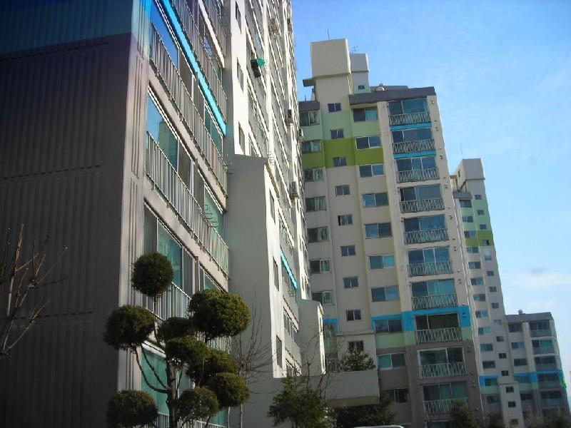 DSCN8413