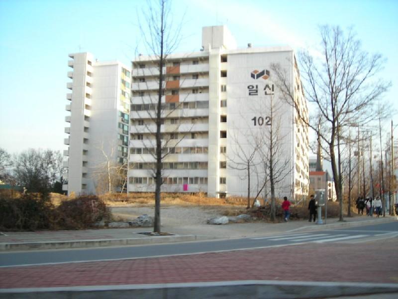 DSCN8655