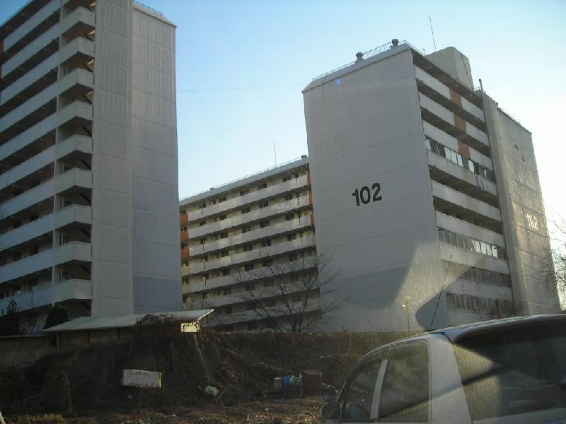 DSCN8645