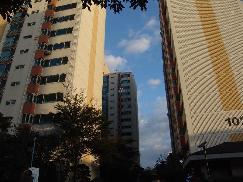 DSC00173