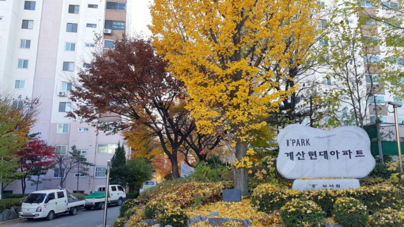 계산동 현대아파트 부출입구 입니다