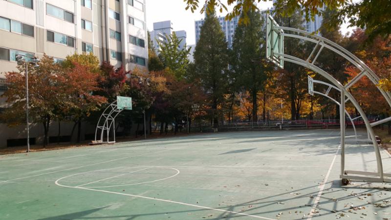 단지 내 입주민들의 건강을 생각해 단지 곳곳에 설치된 체육시설로 농구장이 설치되어 있어요