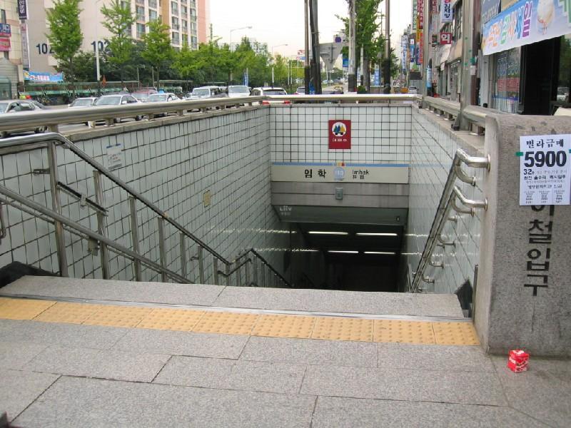 임학역3