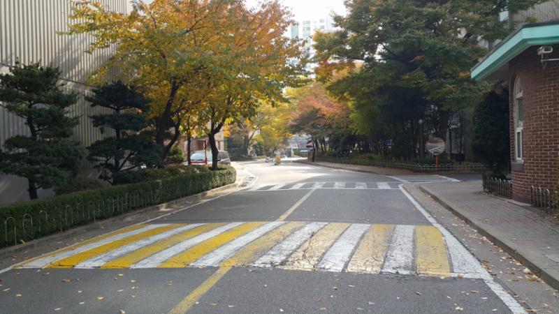 초정마을동아 아파트의 단지 내 도로 입니다