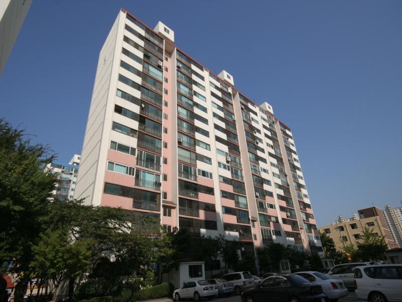 5동