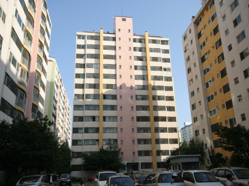 5동