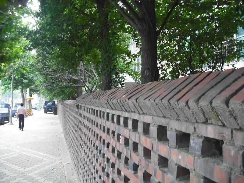 DSCF0562