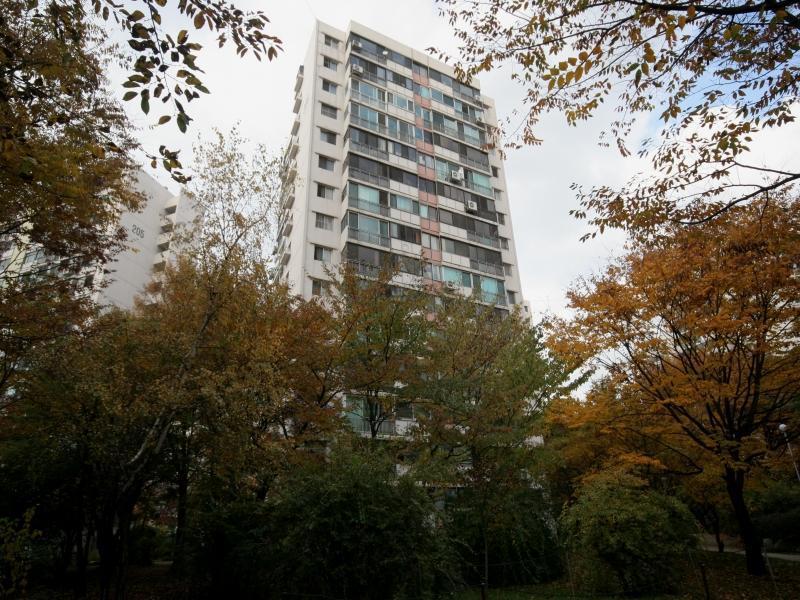 206동