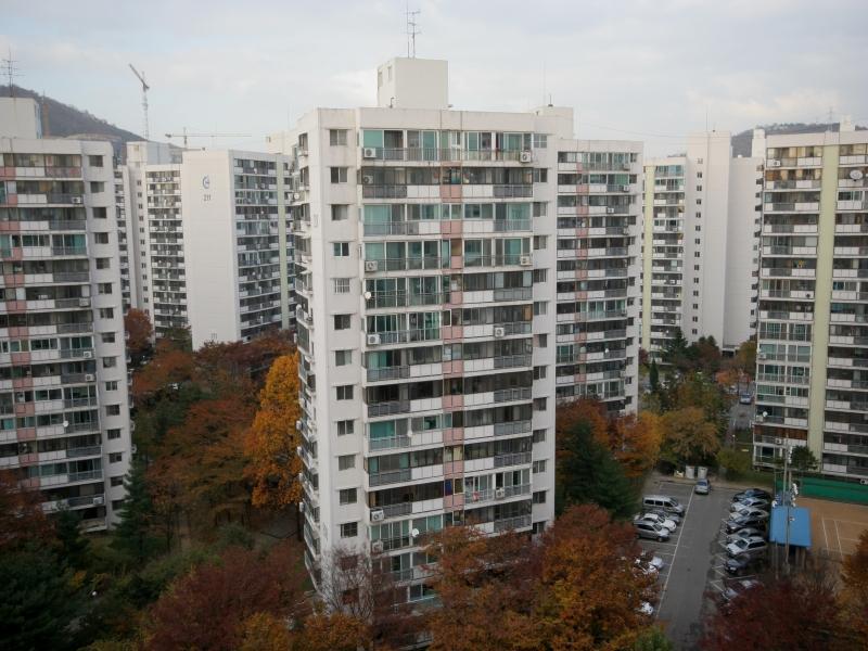 208동
