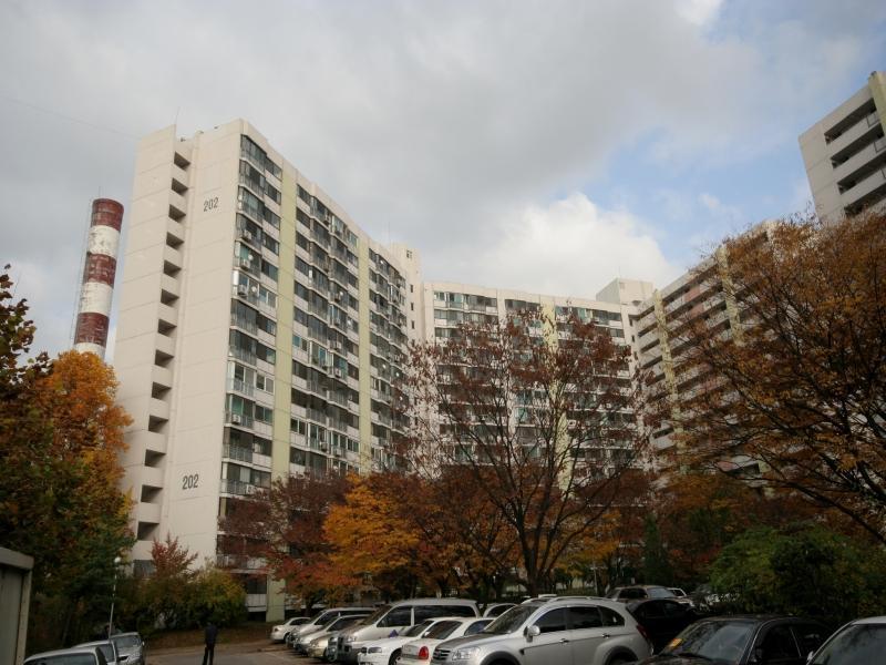 202동