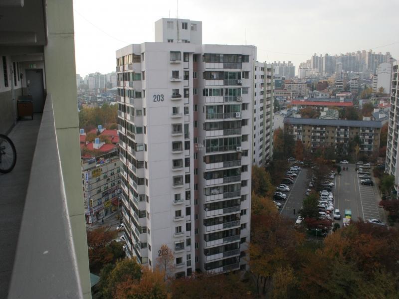203동