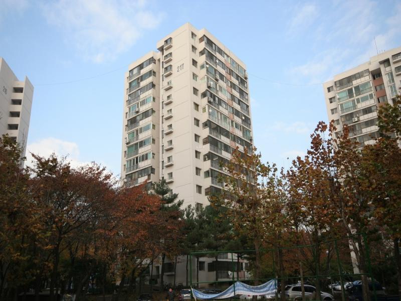 217동