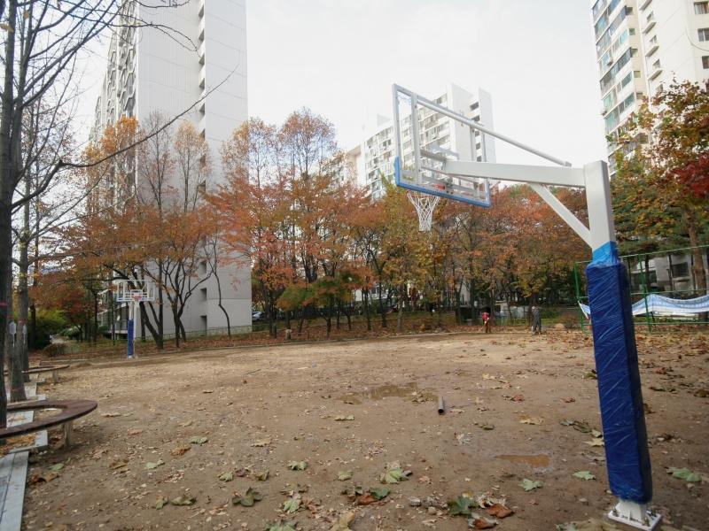 농구장
