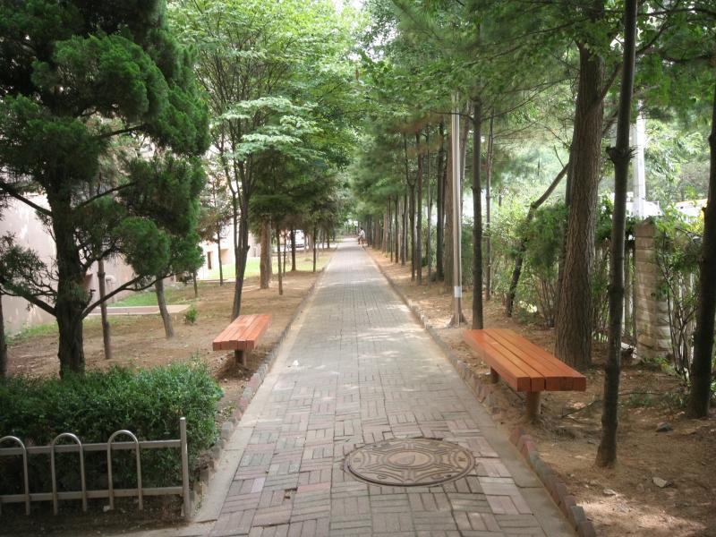 산책로
