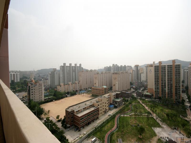 층조망