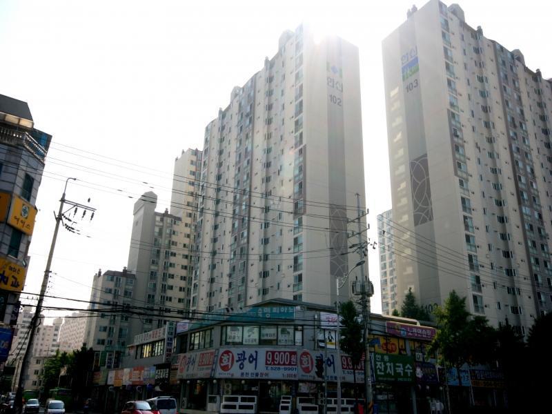 102동