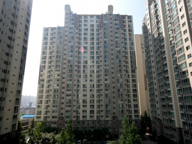 104동