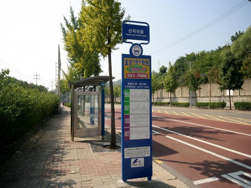 버스정류소(마장길)